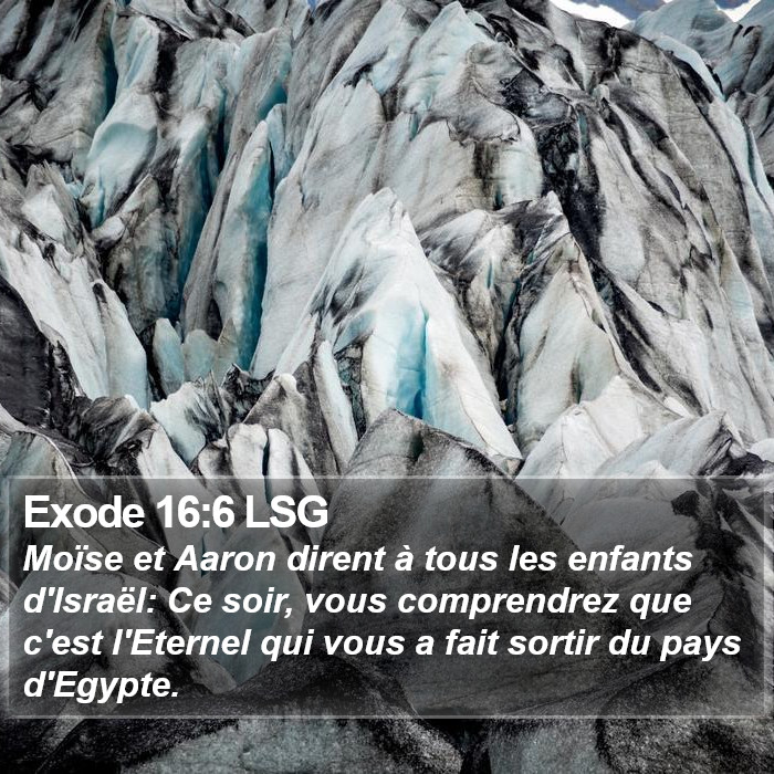 Exode 16:6 LSG Bible Study