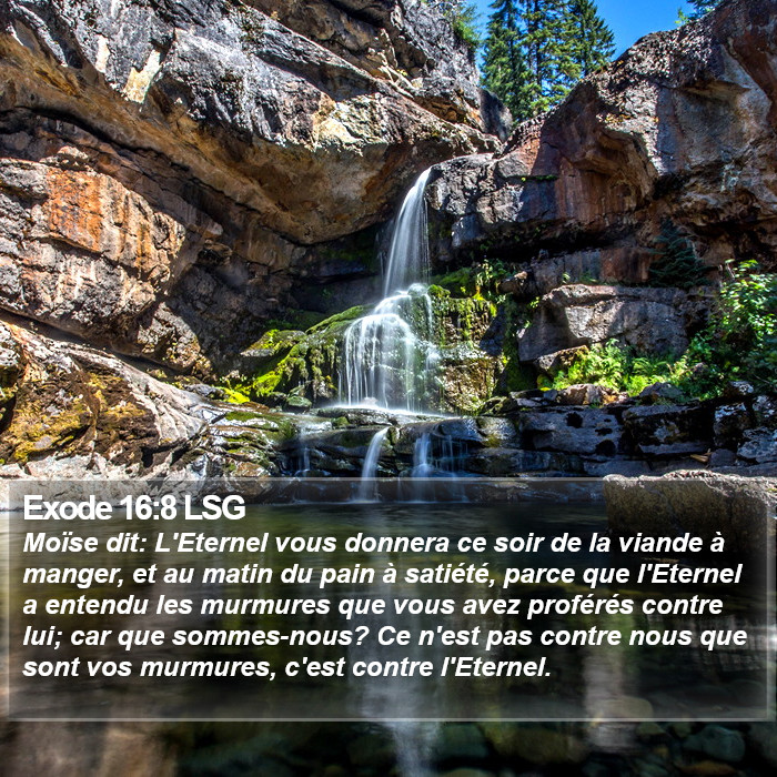 Exode 16:8 LSG Bible Study