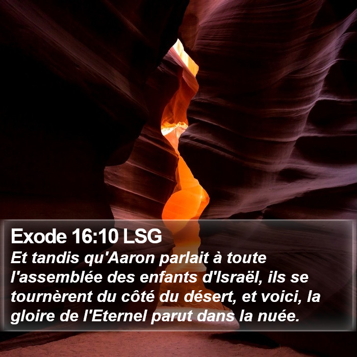 Exode 16:10 LSG Bible Study