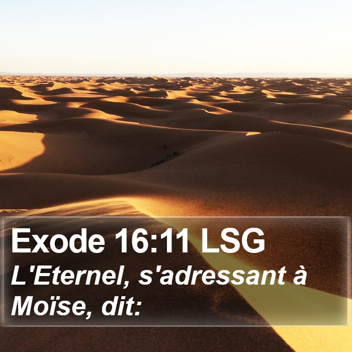Exode 16:11 LSG Bible Study