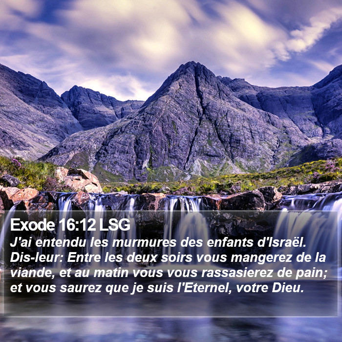 Exode 16:12 LSG Bible Study
