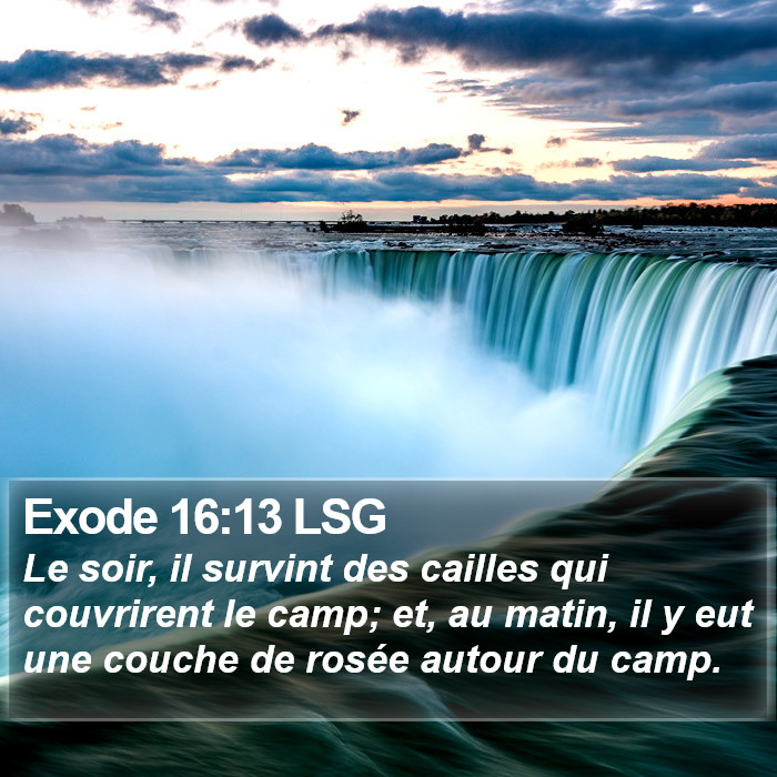 Exode 16:13 LSG Bible Study