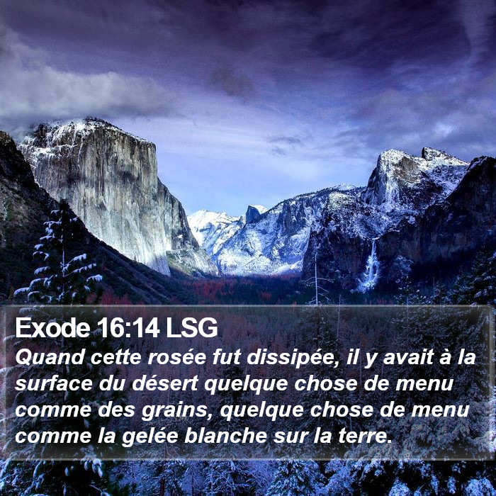 Exode 16:14 LSG Bible Study