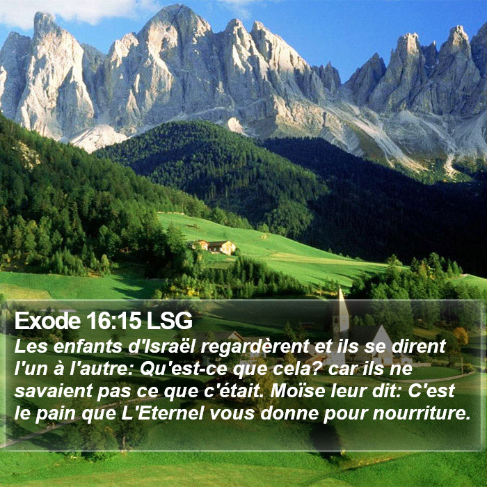 Exode 16:15 LSG Bible Study