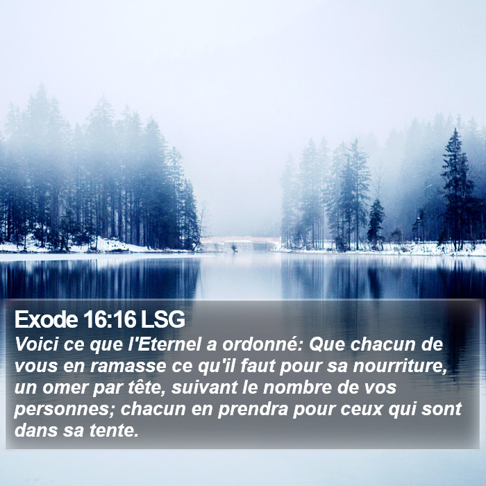 Exode 16:16 LSG Bible Study