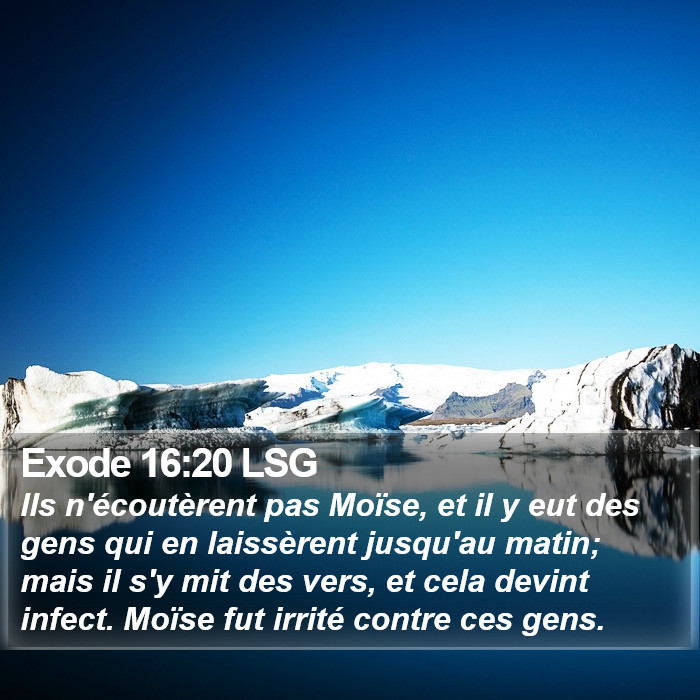 Exode 16:20 LSG Bible Study