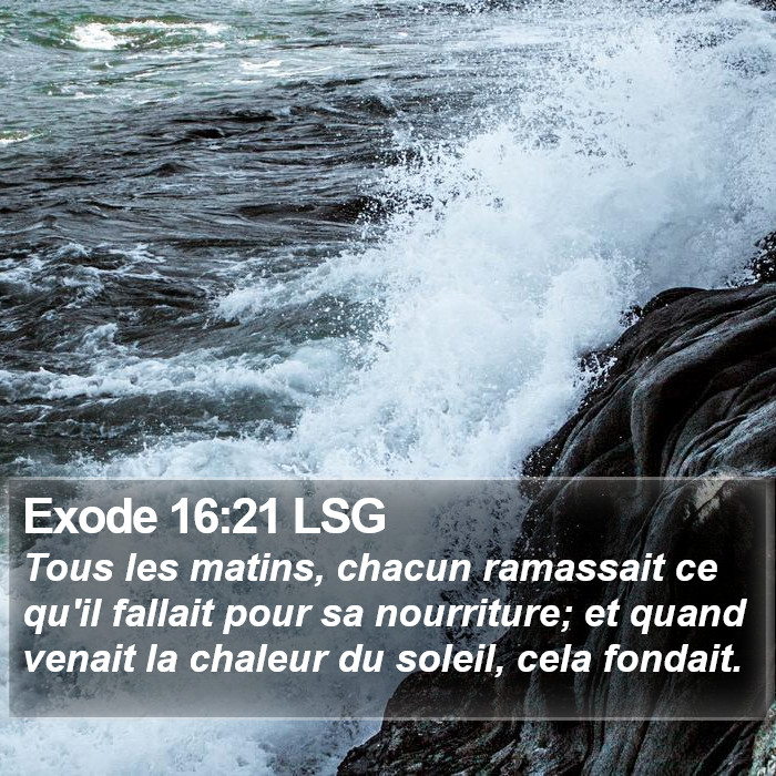 Exode 16:21 LSG Bible Study