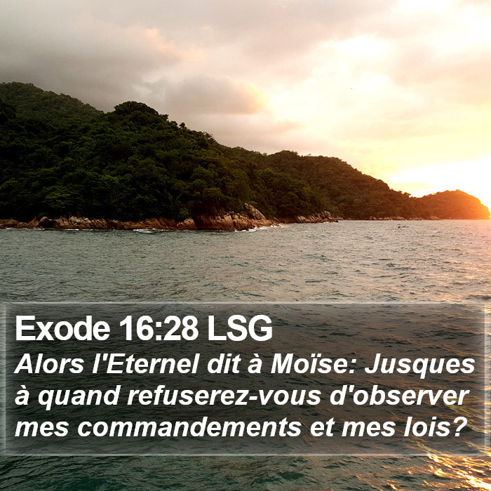 Exode 16:28 LSG Bible Study