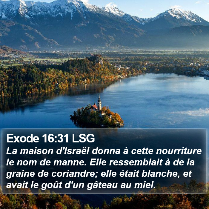 Exode 16:31 LSG Bible Study