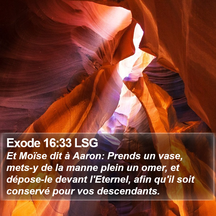 Exode 16:33 LSG Bible Study