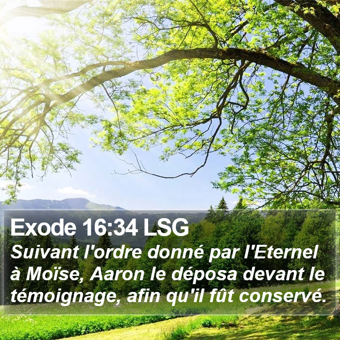 Exode 16:34 LSG Bible Study