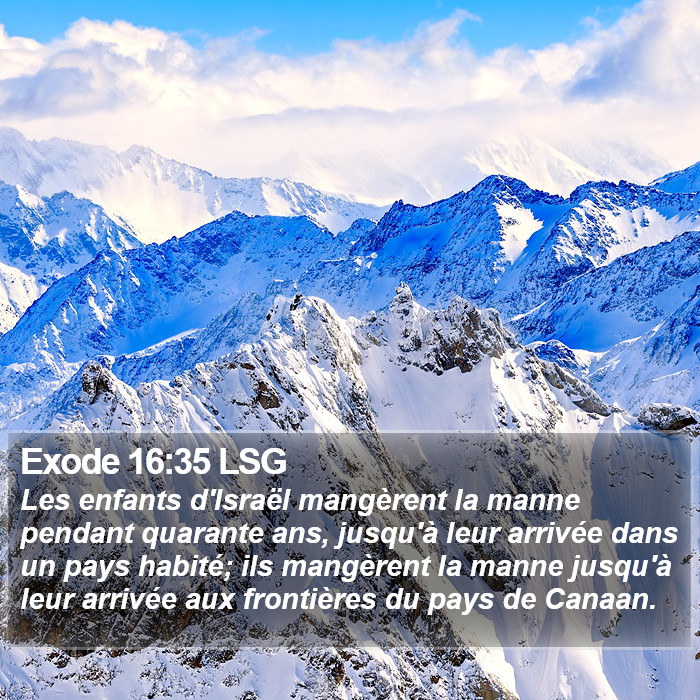 Exode 16:35 LSG Bible Study