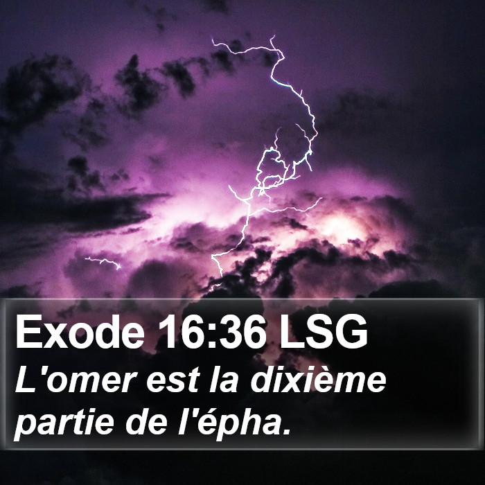 Exode 16:36 LSG Bible Study