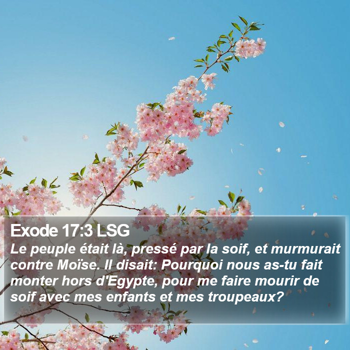 Exode 17:3 LSG Bible Study