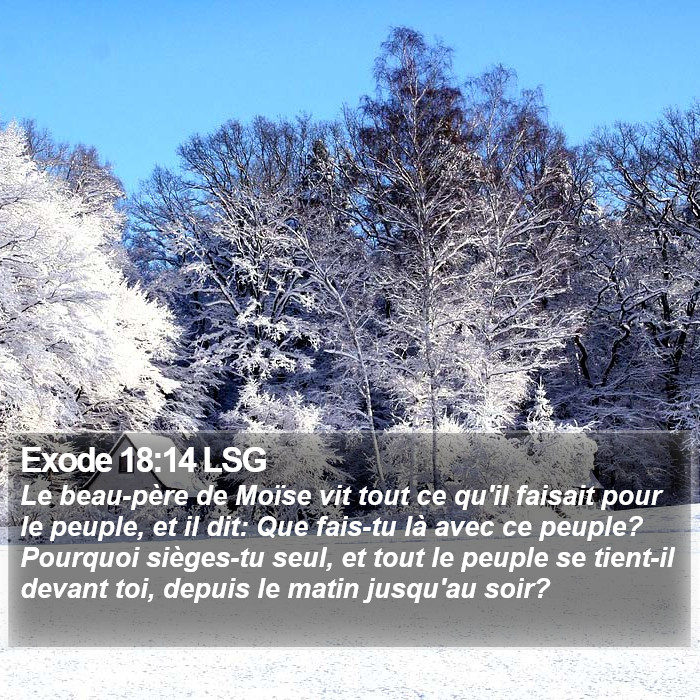 Exode 18:14 LSG Bible Study