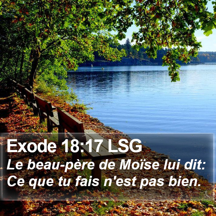 Exode 18:17 LSG Bible Study