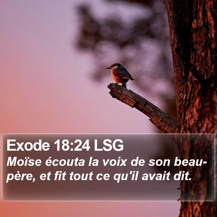 Exode 18:24 LSG Bible Study