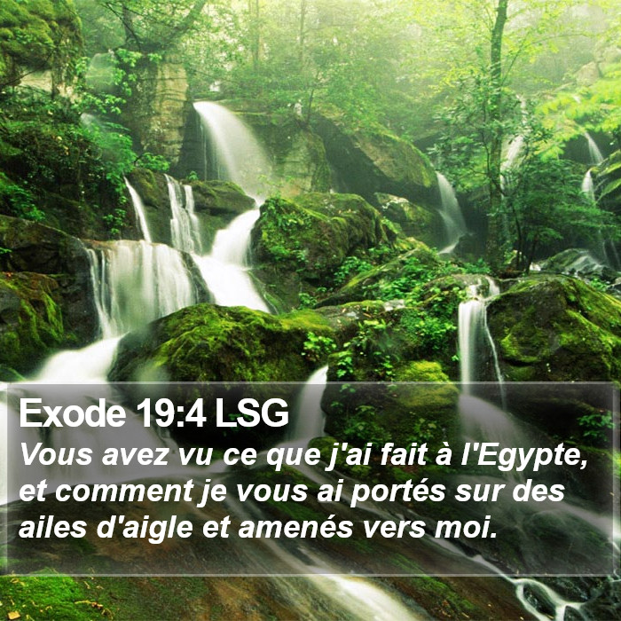 Exode 19:4 LSG Bible Study