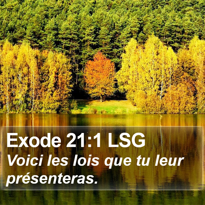 Exode 21:1 LSG Bible Study