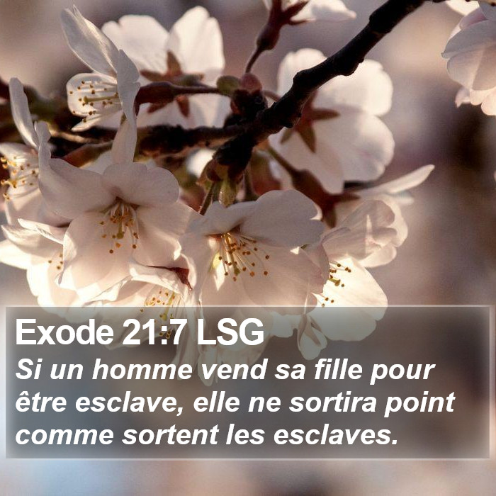 Exode 21:7 LSG Bible Study