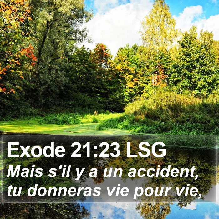 Exode 21:23 LSG Bible Study