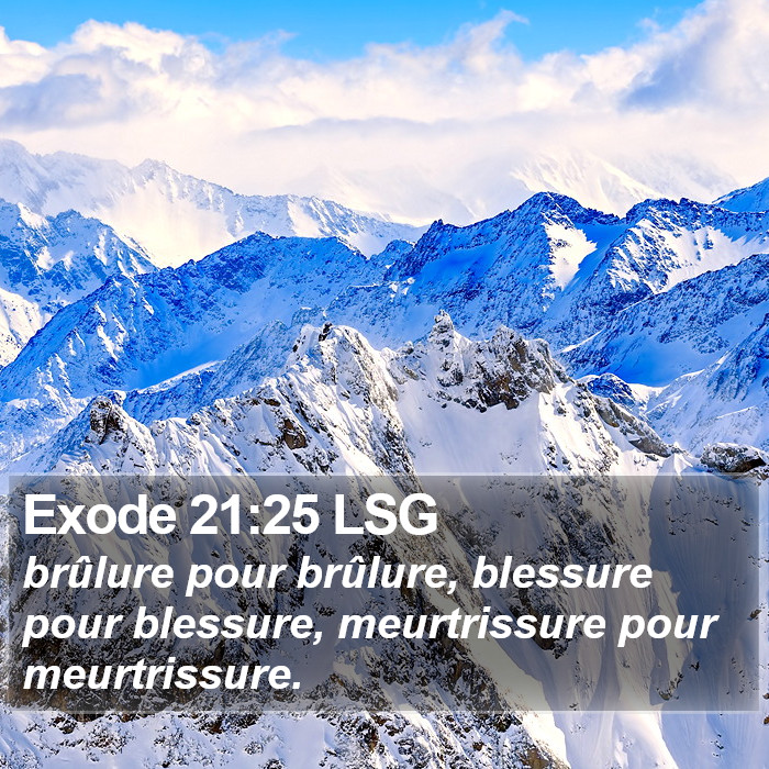 Exode 21:25 LSG Bible Study