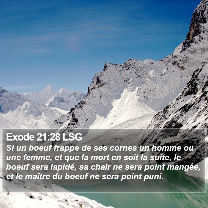 Exode 21:28 LSG Bible Study