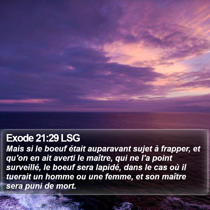 Exode 21:29 LSG Bible Study