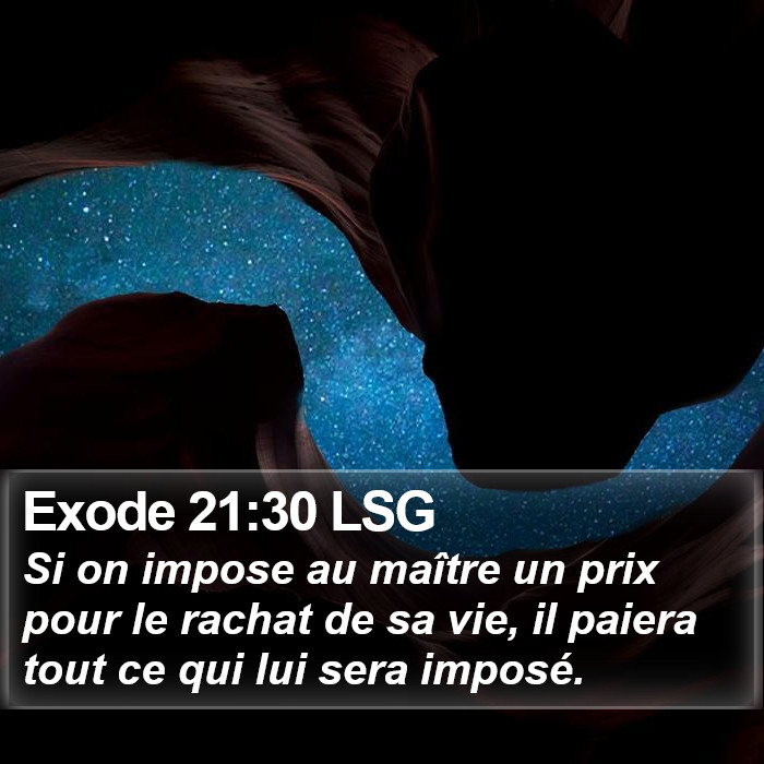 Exode 21:30 LSG Bible Study