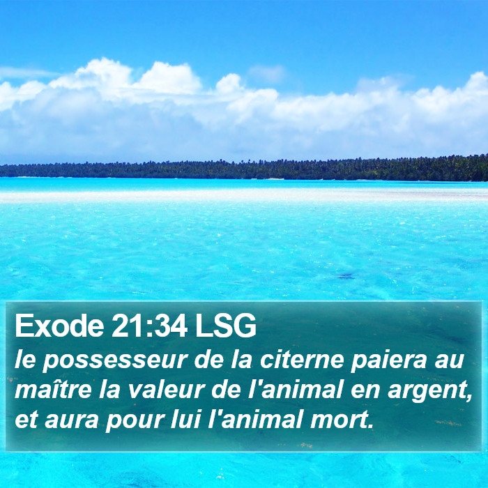 Exode 21:34 LSG Bible Study