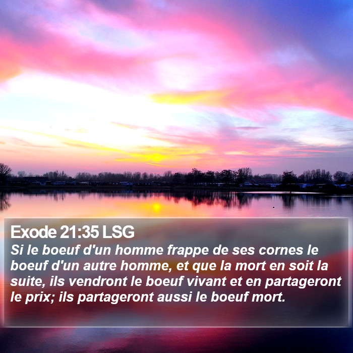 Exode 21:35 LSG Bible Study