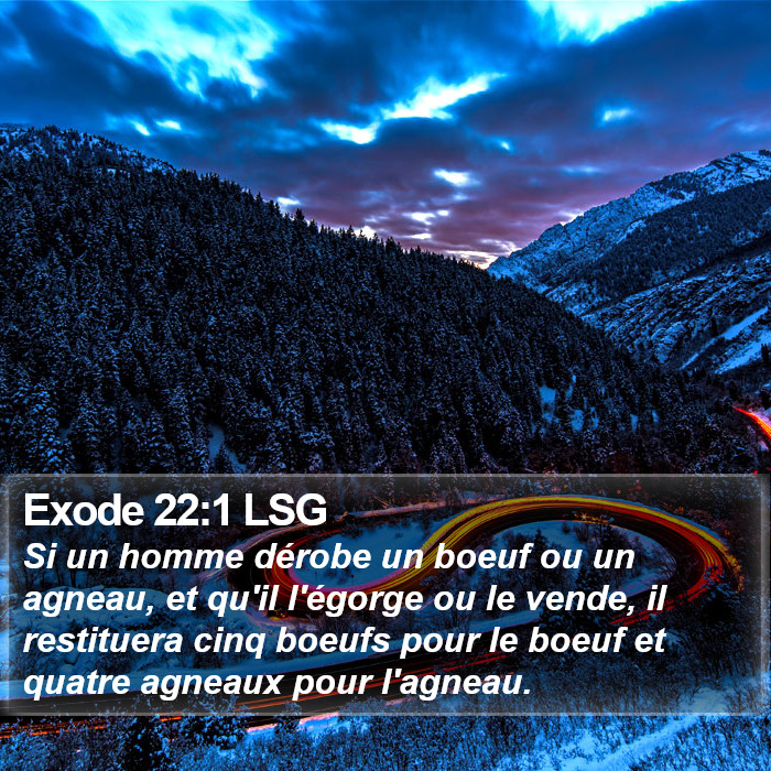 Exode 22:1 LSG Bible Study