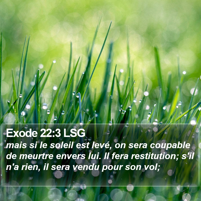 Exode 22:3 LSG Bible Study