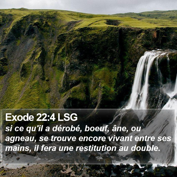 Exode 22:4 LSG Bible Study
