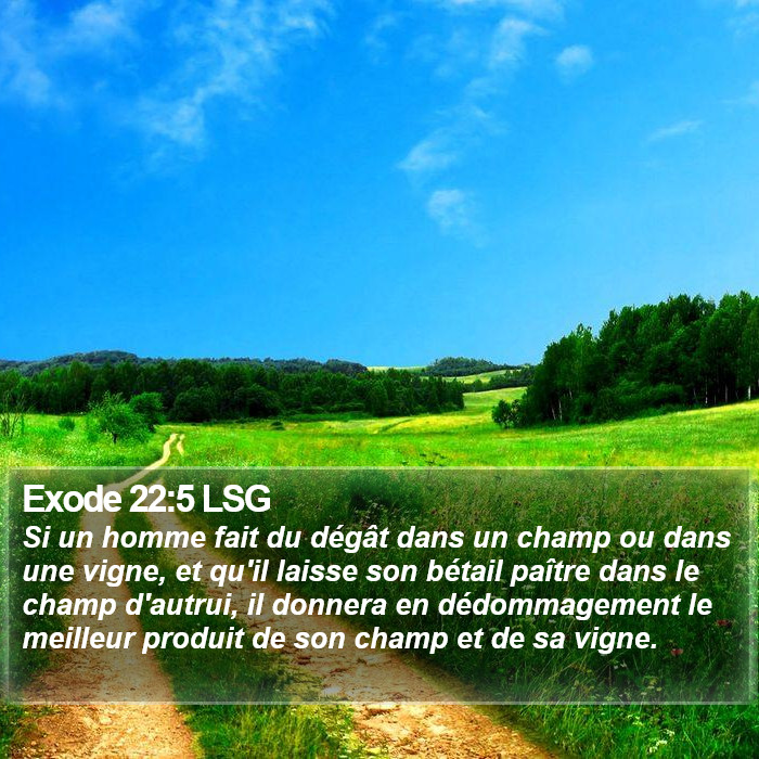 Exode 22:5 LSG Bible Study