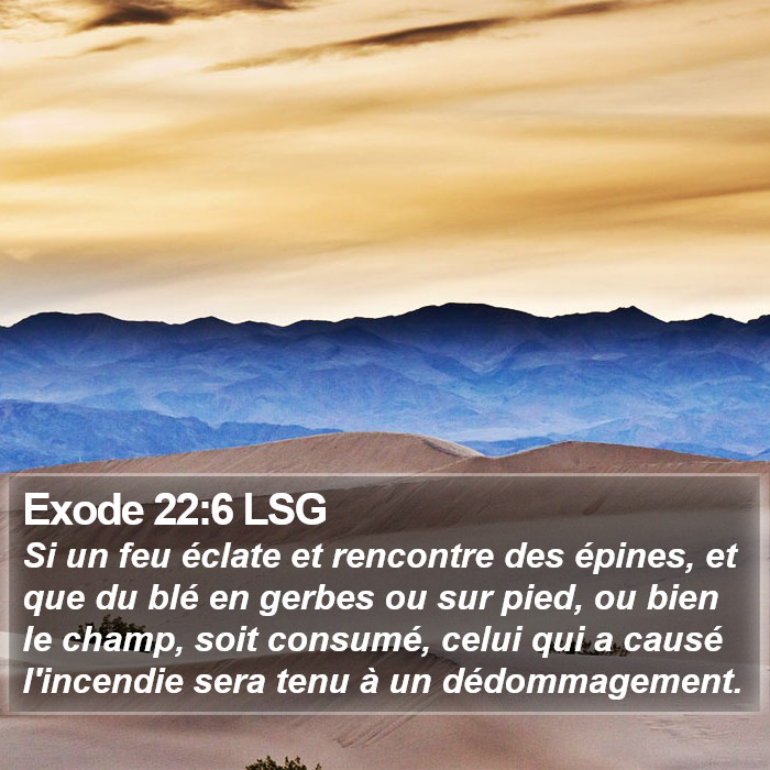 Exode 22:6 LSG Bible Study