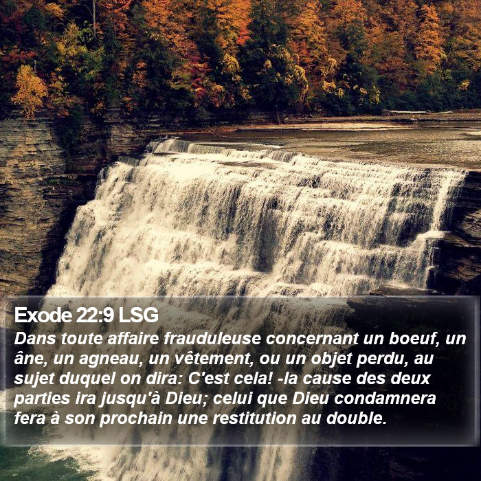 Exode 22:9 LSG Bible Study