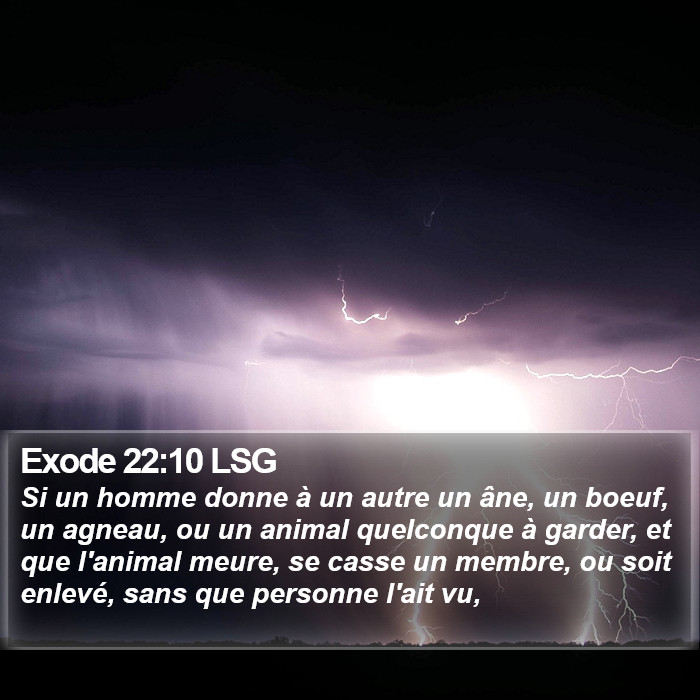 Exode 22:10 LSG Bible Study