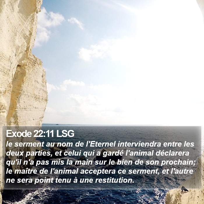 Exode 22:11 LSG Bible Study