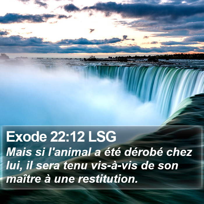 Exode 22:12 LSG Bible Study