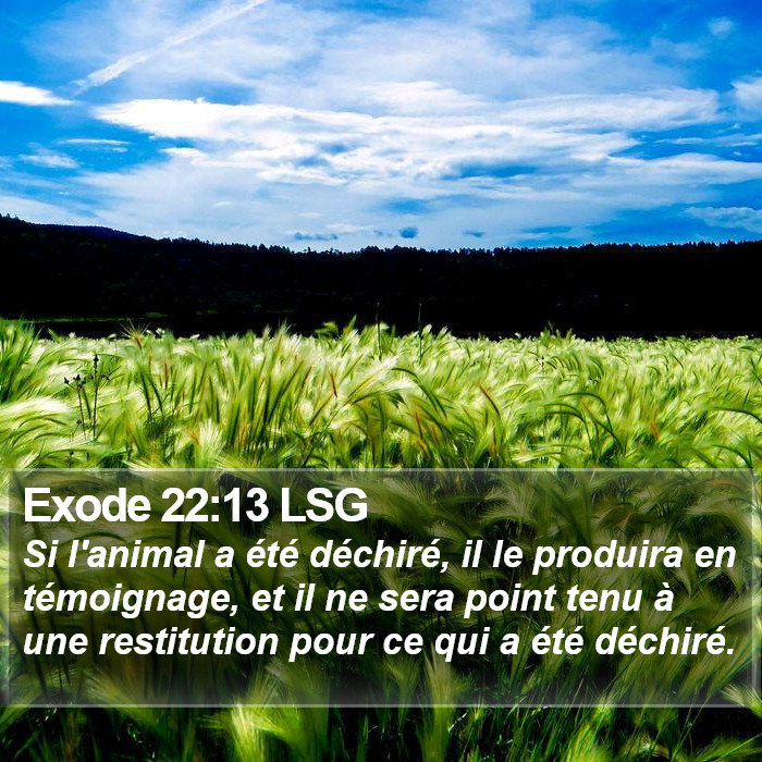 Exode 22:13 LSG Bible Study