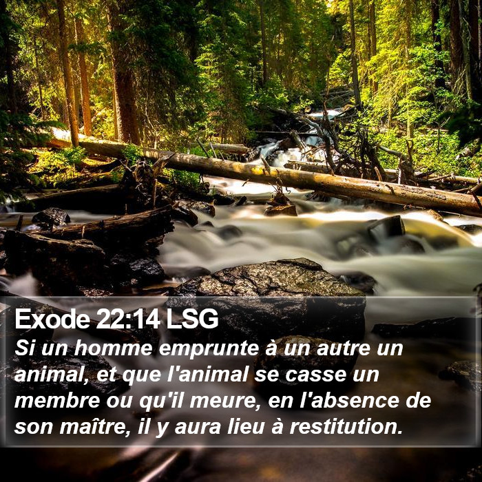 Exode 22:14 LSG Bible Study