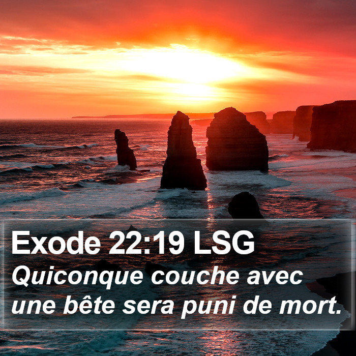 Exode 22:19 LSG Bible Study