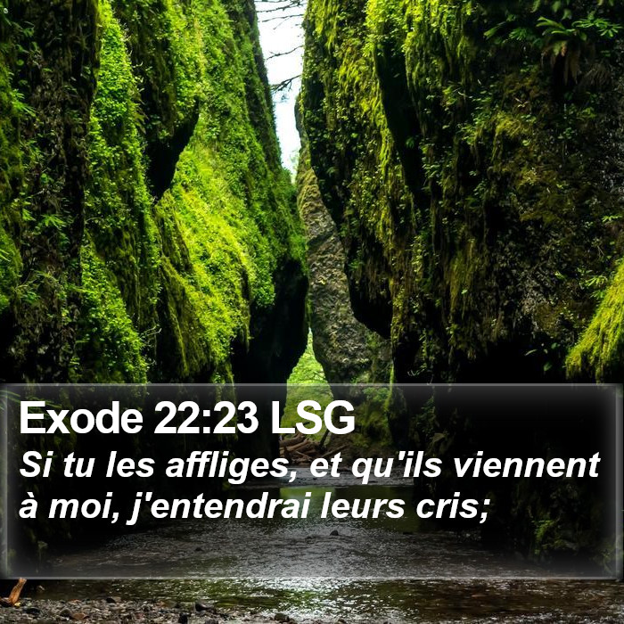 Exode 22:23 LSG Bible Study