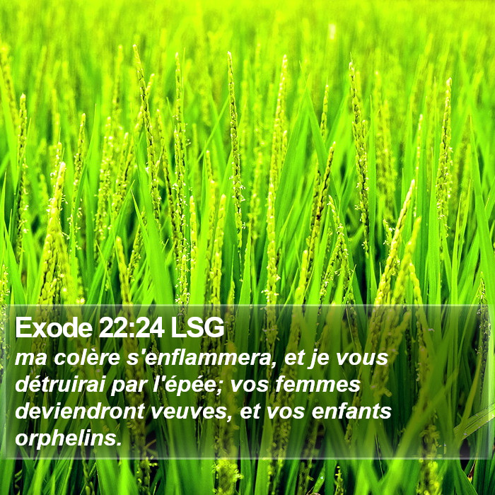 Exode 22:24 LSG Bible Study