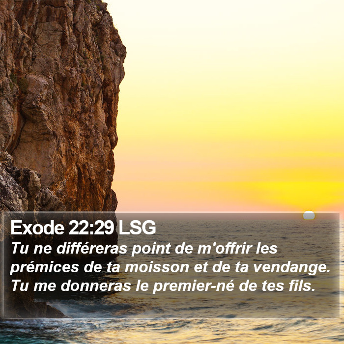 Exode 22:29 LSG Bible Study