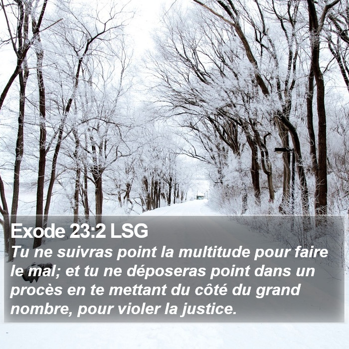 Exode 23:2 LSG Bible Study