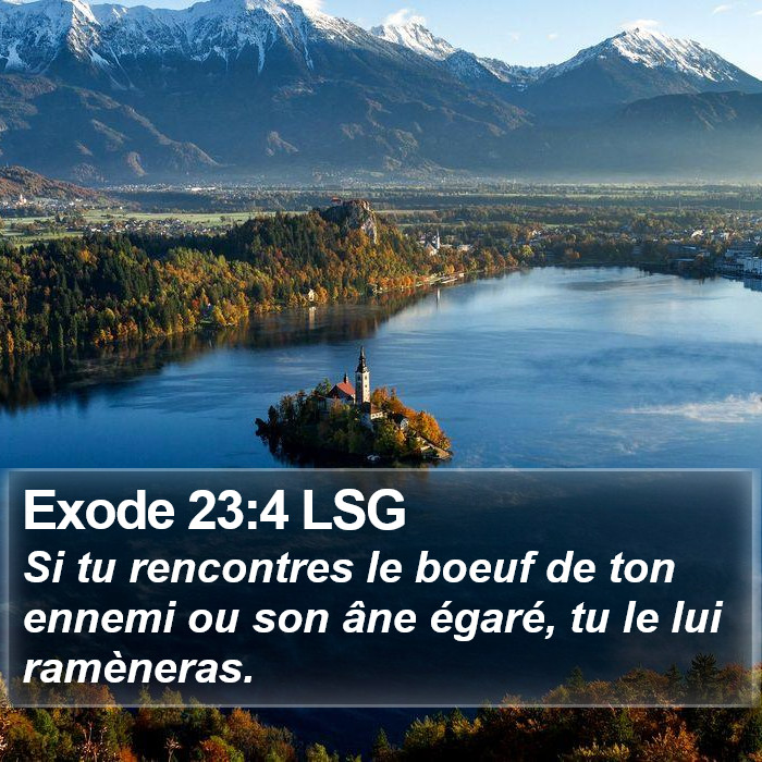 Exode 23:4 LSG Bible Study