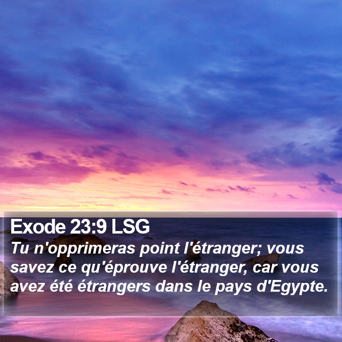 Exode 23:9 LSG Bible Study