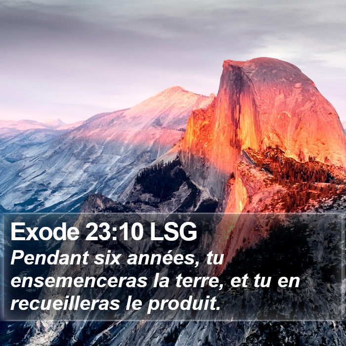 Exode 23:10 LSG Bible Study